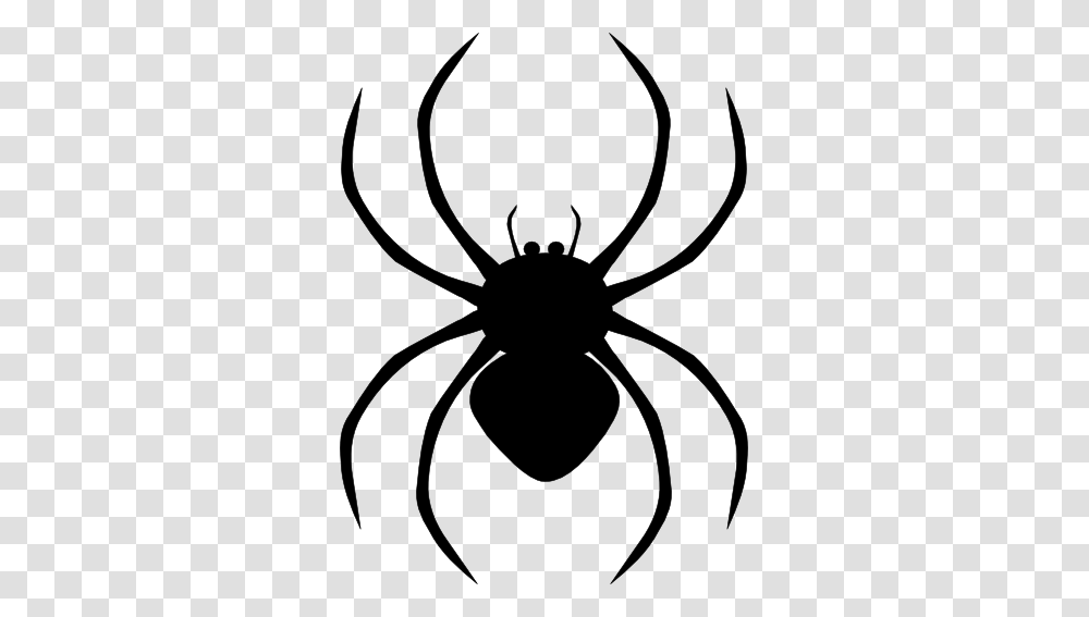 Spiders Cliparts, Gray, World Of Warcraft Transparent Png