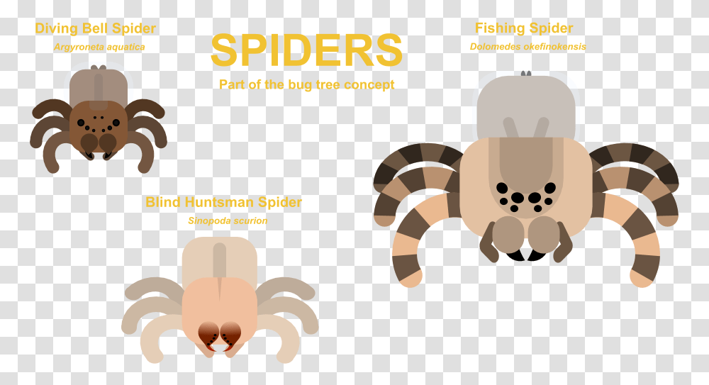 Spiders Part Of The Bug Tree Stats And Png's In Comments Clip Art, Animal, Sea Life, Food, Plush Transparent Png
