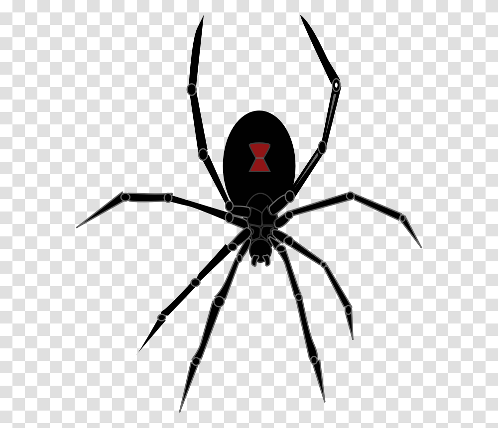Spiders Unbugme Pest Control Black Widow Spider, Bow, Invertebrate, Animal, Insect Transparent Png