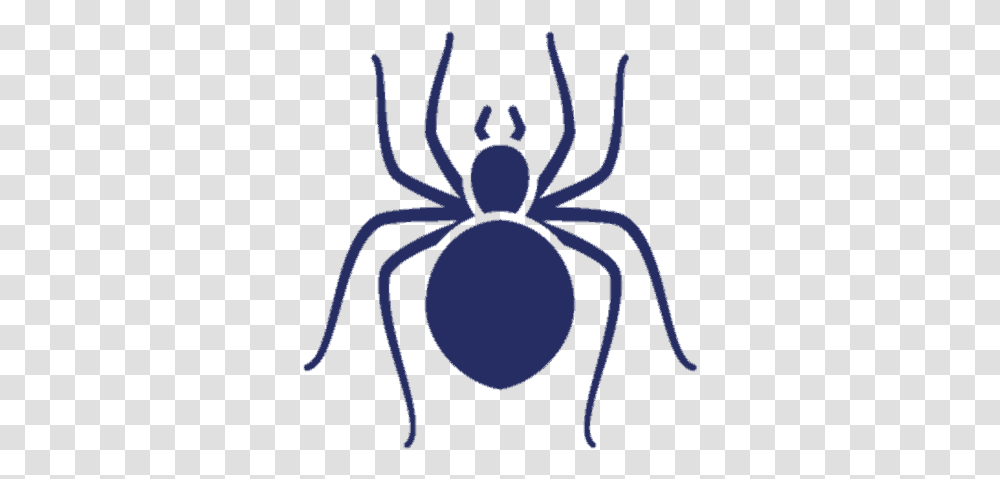 Spiders Uspest Spider Status, Animal, Invertebrate, Black Widow, Insect Transparent Png