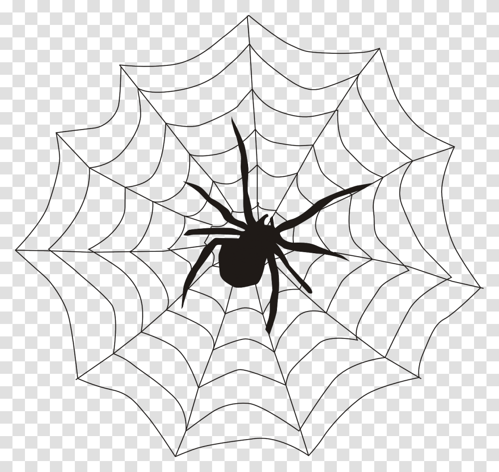 Spiderweb, Spider Web, Bird, Animal, Painting Transparent Png