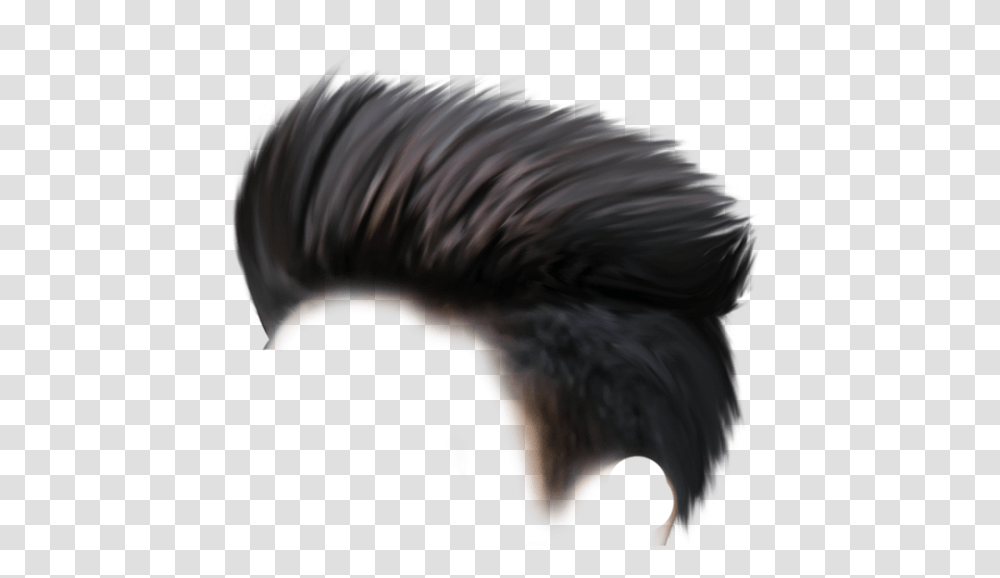 Spiky Hair Cb Hair Style, Person, Human, Waterfowl, Bird Transparent Png