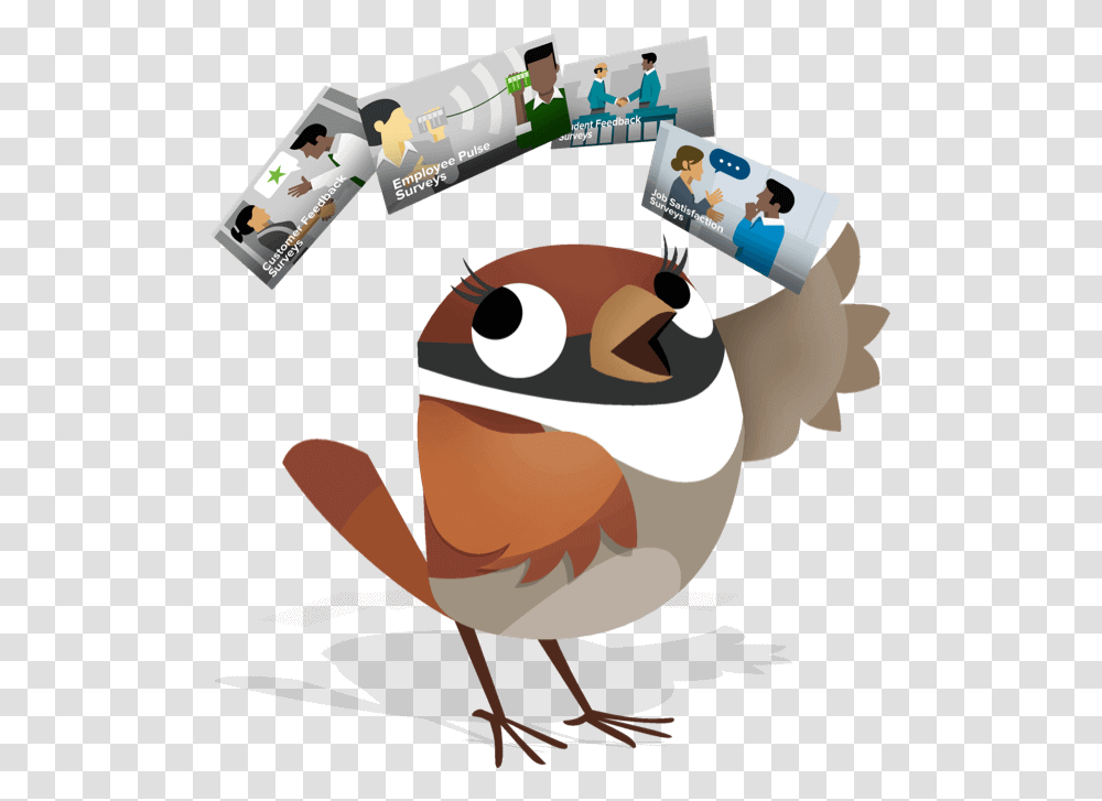 Spin A Student Experience Survey And Understand Their Cartoon, Animal, Wildlife, Advertisement, Amphibian Transparent Png