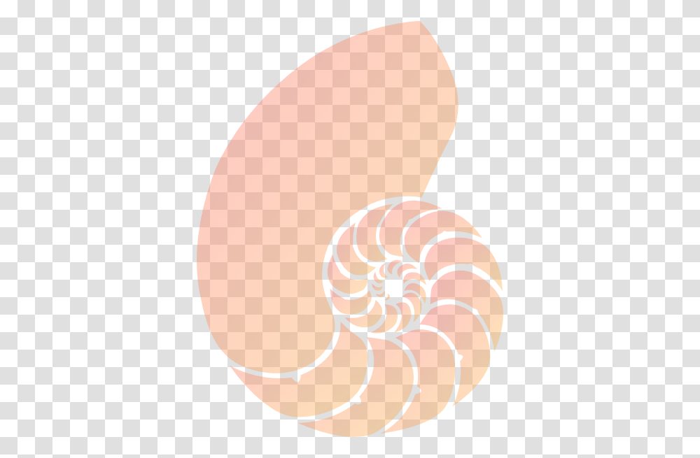 Spin Light Shell Clip Art, Spiral, Animal, Food, Coil Transparent Png