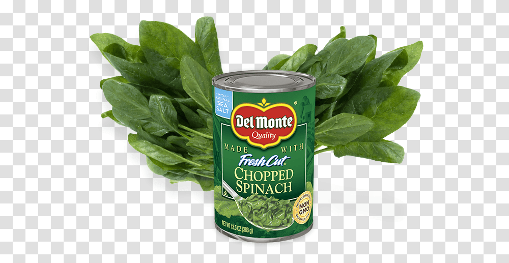 Spinach 3 Image Monte, Plant, Green, Vegetable, Food Transparent Png
