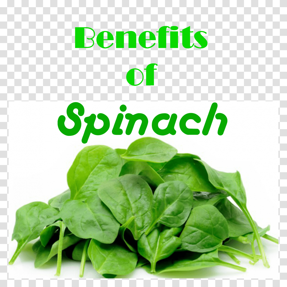Spinach Benefits Spinach Benefit And Food, Vegetable, Plant Transparent Png
