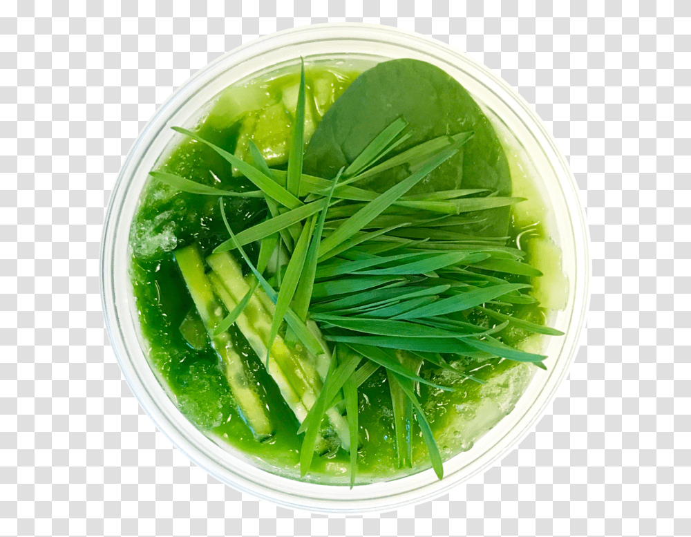 Spinach, Bowl, Plant, Dish, Meal Transparent Png