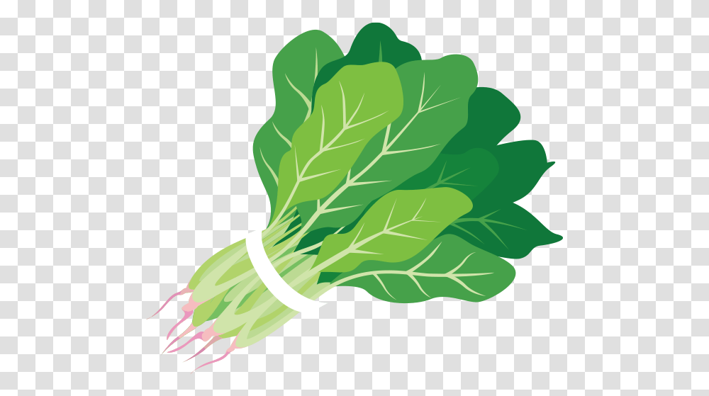 Spinach Clipart Clipartxtras, Plant, Vegetable, Food, Produce Transparent Png