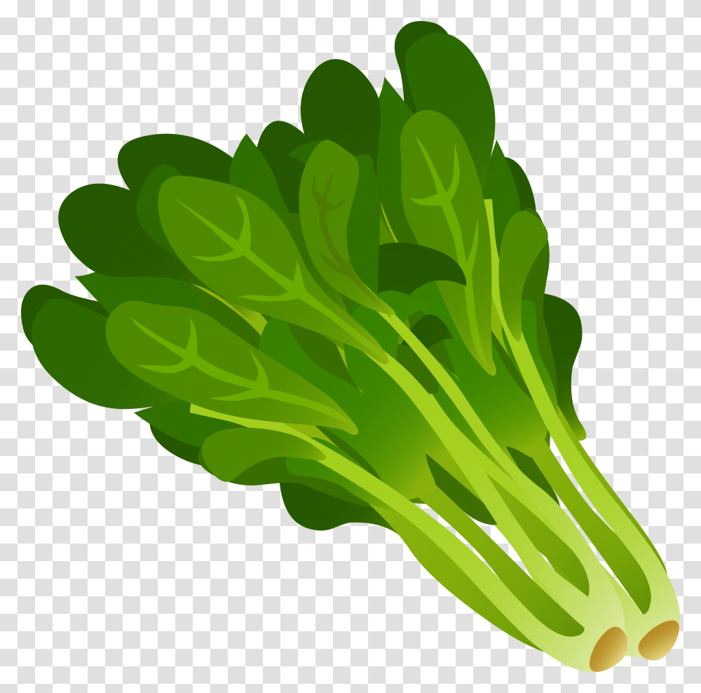 Spinach Green Leafy Vegetables Clipart, Plant, Food, Produce Transparent Png