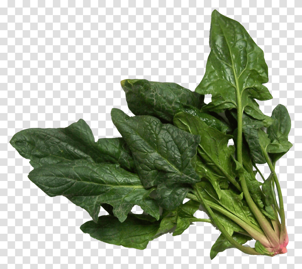 Spinach Image, Plant, Vegetable, Food, Leaf Transparent Png
