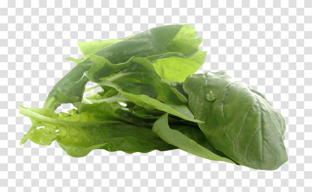 Spinach Image, Vegetable, Plant, Food Transparent Png