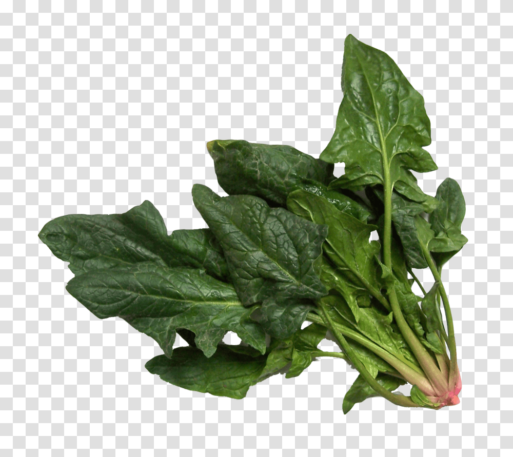 Spinach Image, Vegetable, Plant, Food Transparent Png