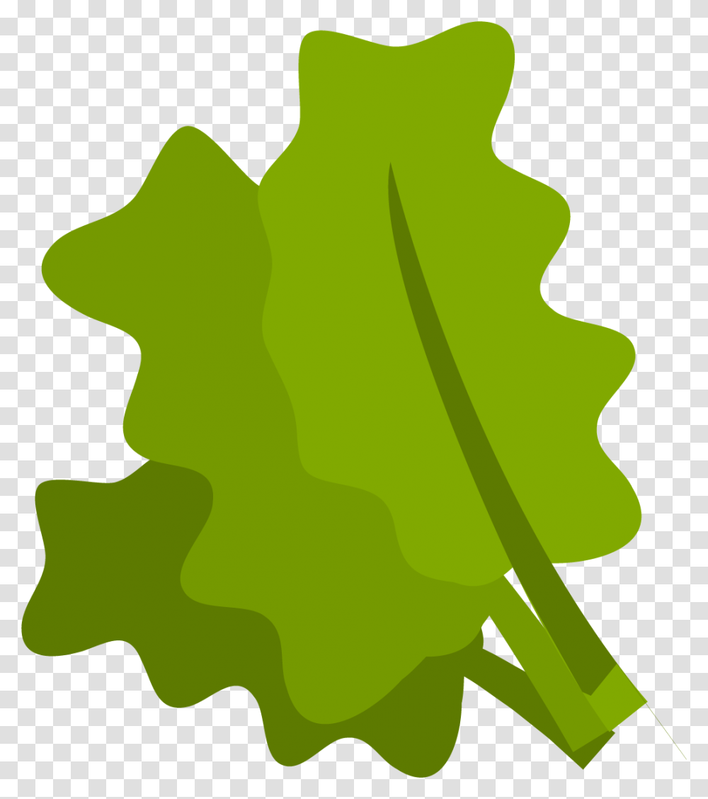 Spinach, Leaf, Plant, Green, Tree Transparent Png