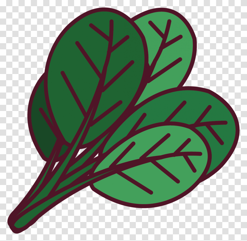 Spinach Leaf, Plant, Stencil Transparent Png