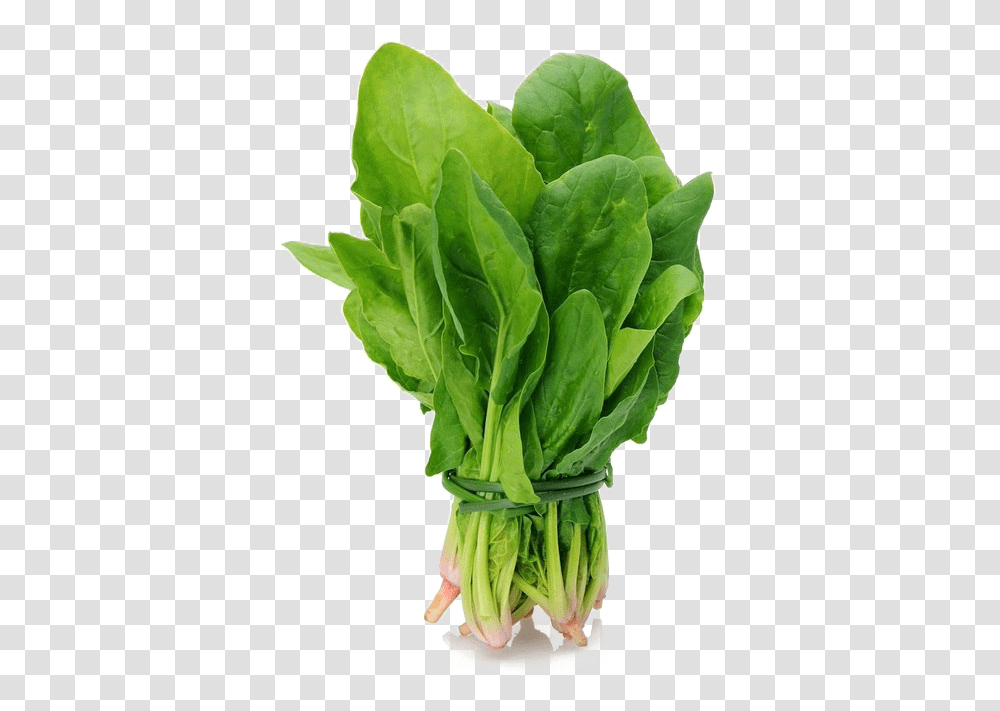 Spinach Leaf, Plant, Vegetable, Food, Produce Transparent Png