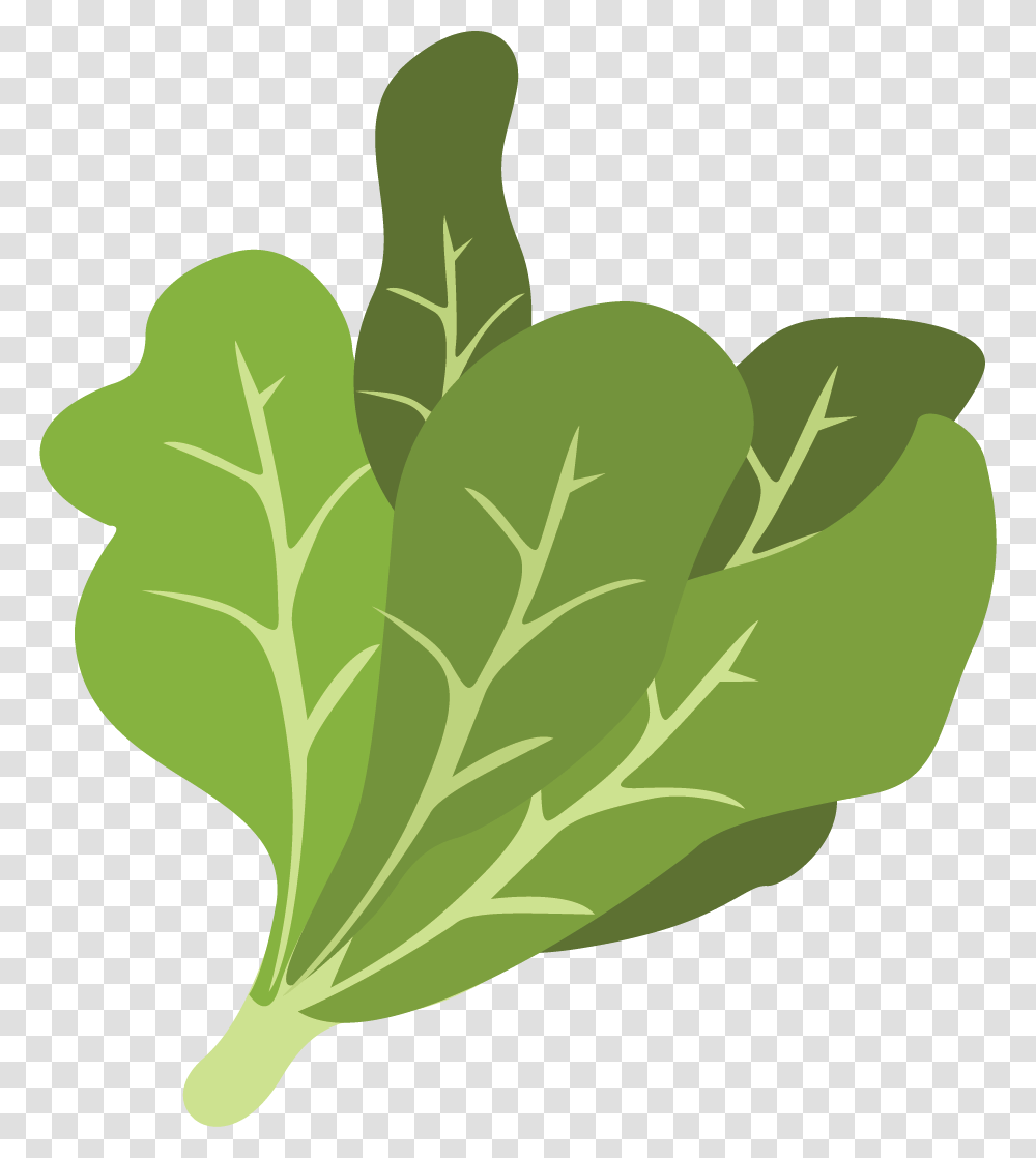 Spinach Leaf, Plant, Vegetable, Food, Produce Transparent Png