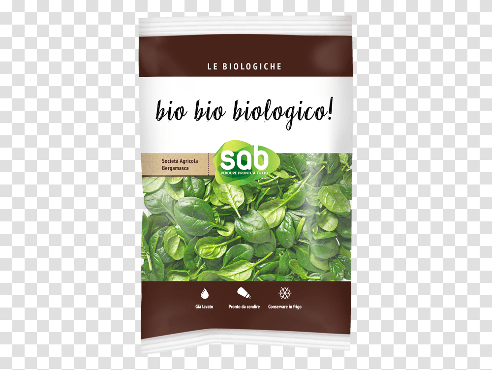 Spinach Leaf, Plant, Vegetable, Food Transparent Png