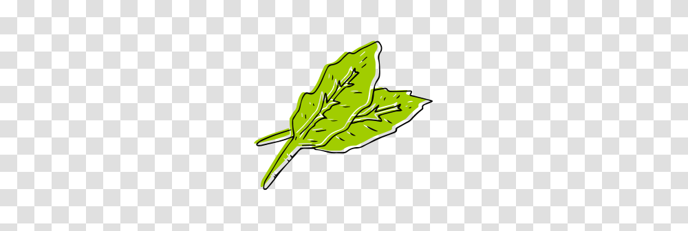 Spinach, Leaf, Plant, Veins, Tobacco Transparent Png