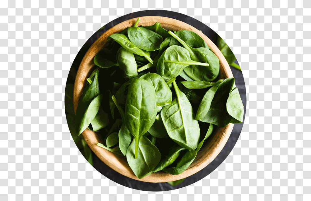 Spinach Leaf, Vegetable, Plant, Food, Pineapple Transparent Png