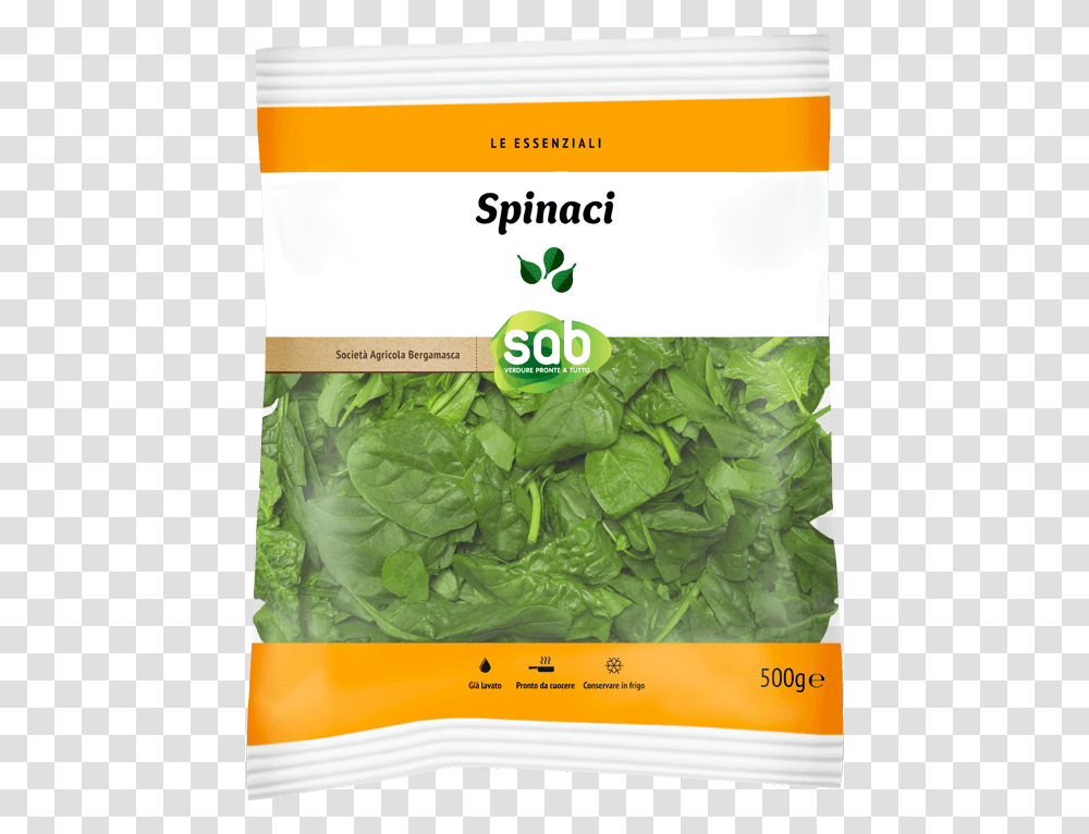 Spinach Leaf, Vegetable, Plant, Food, Produce Transparent Png