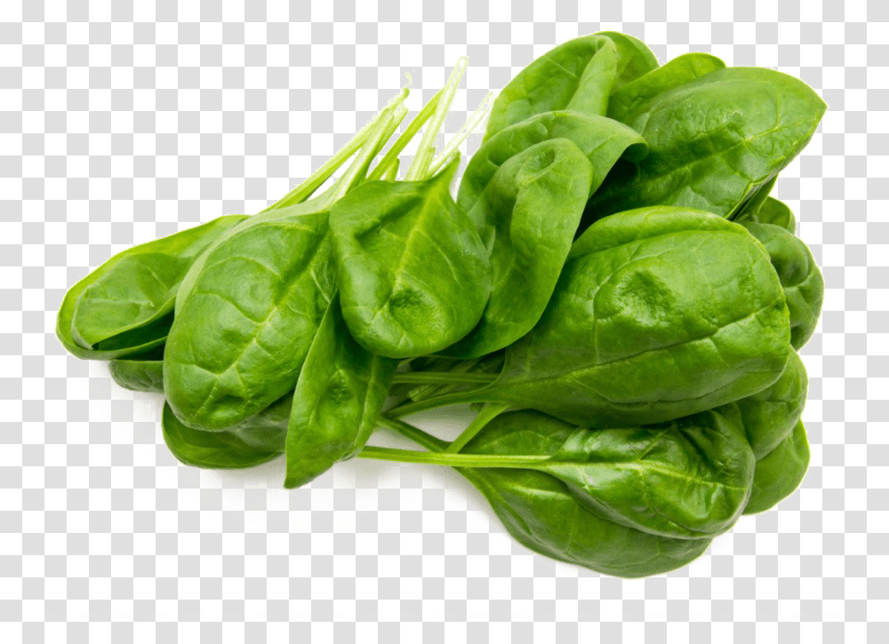 Spinach Leaf, Vegetable, Plant, Food Transparent Png