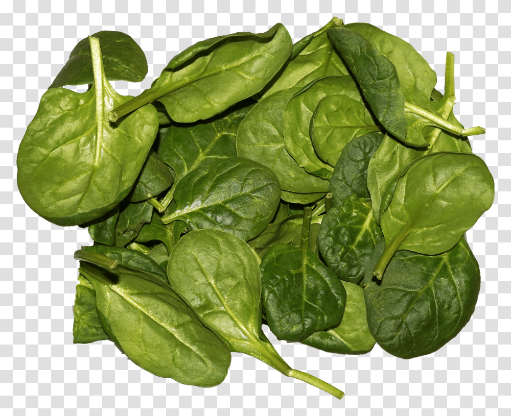 Spinach Leaves Transparent Png