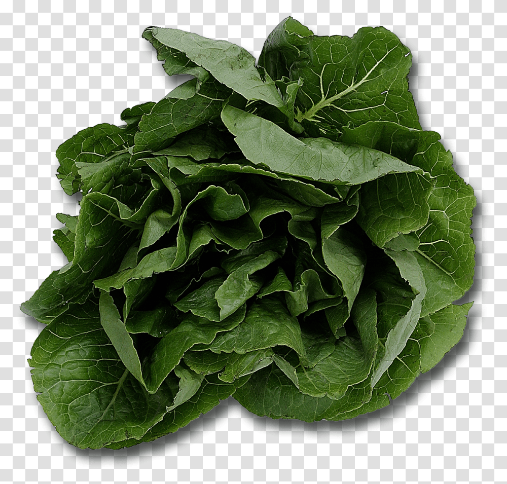 Spinach Name Five Plants That We Eat, Vegetable, Food, Leaf, Lettuce Transparent Png