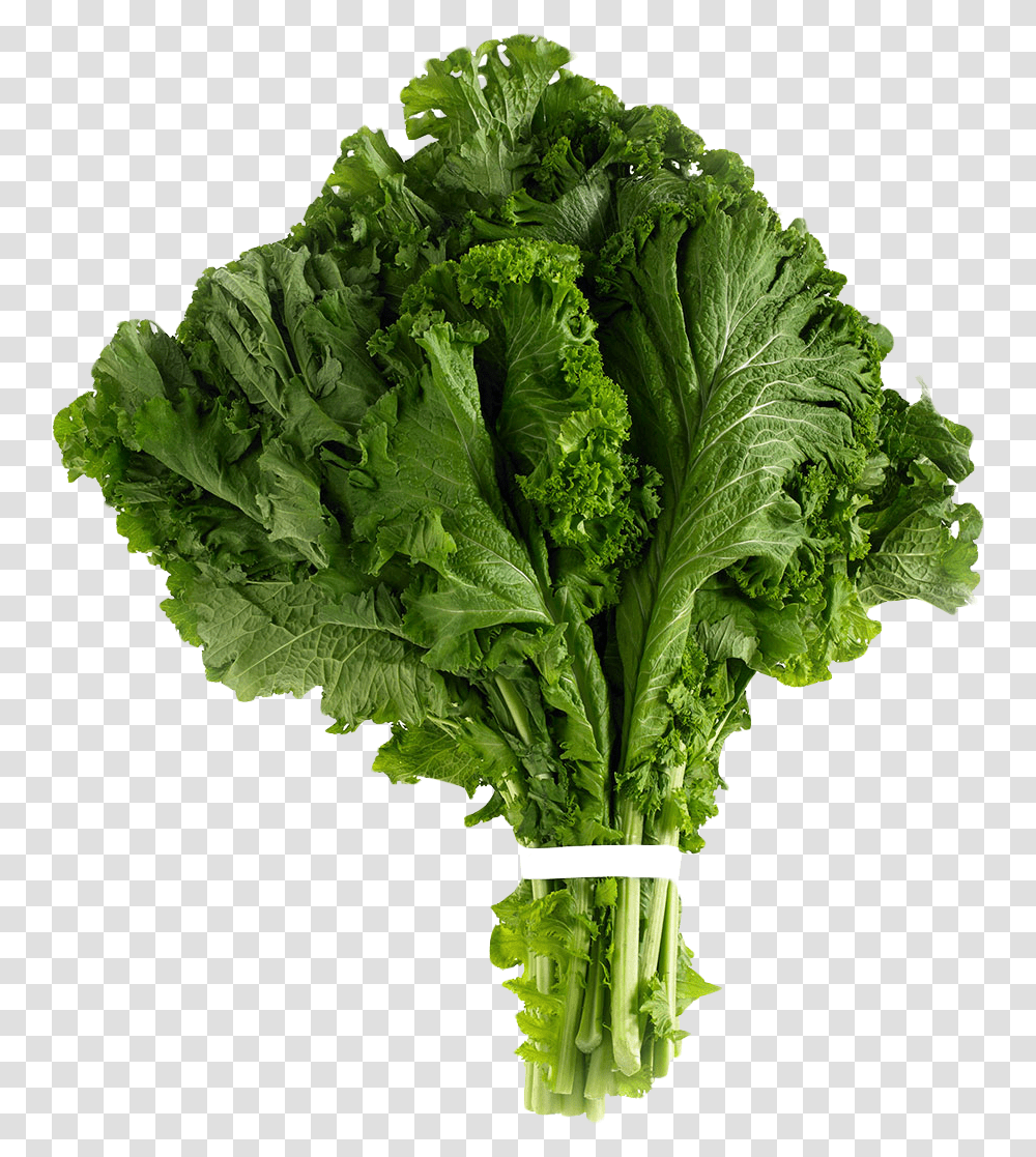 Spinach, Plant, Kale, Cabbage, Vegetable Transparent Png