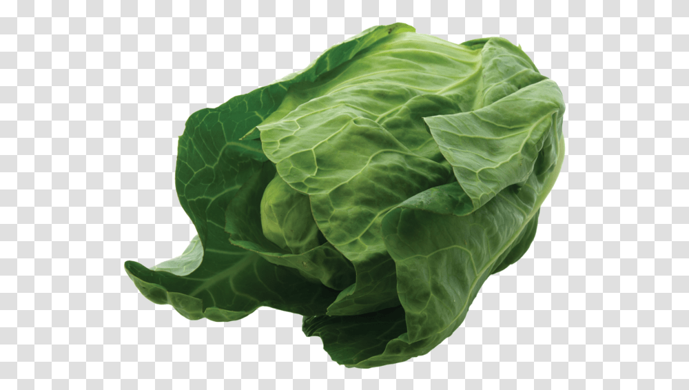 Spinach, Plant, Vegetable, Food, Cabbage Transparent Png
