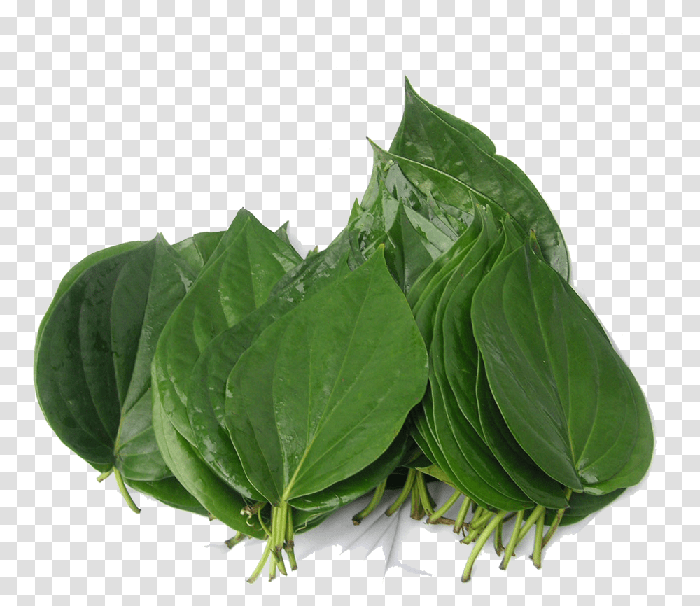 Spinach, Plant, Vegetable, Food, Leaf Transparent Png
