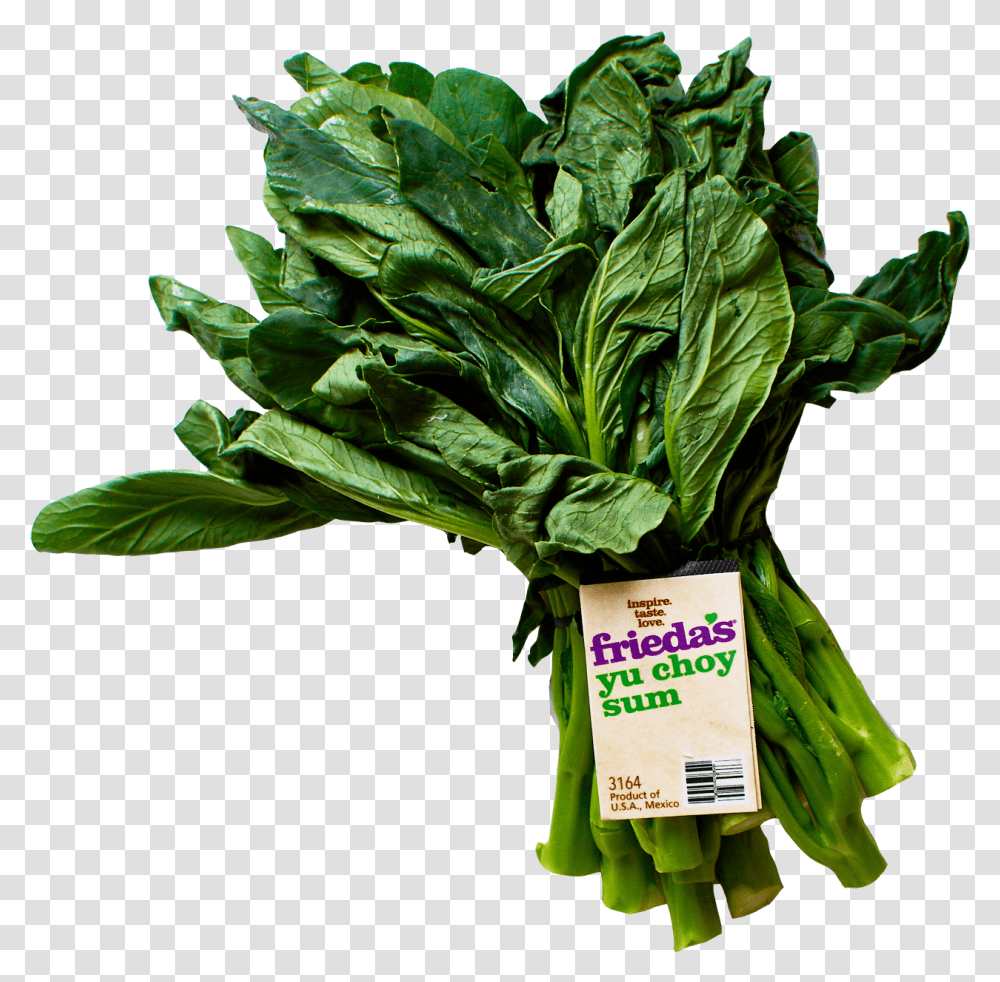 Spinach, Plant, Vegetable, Food, Leaf Transparent Png