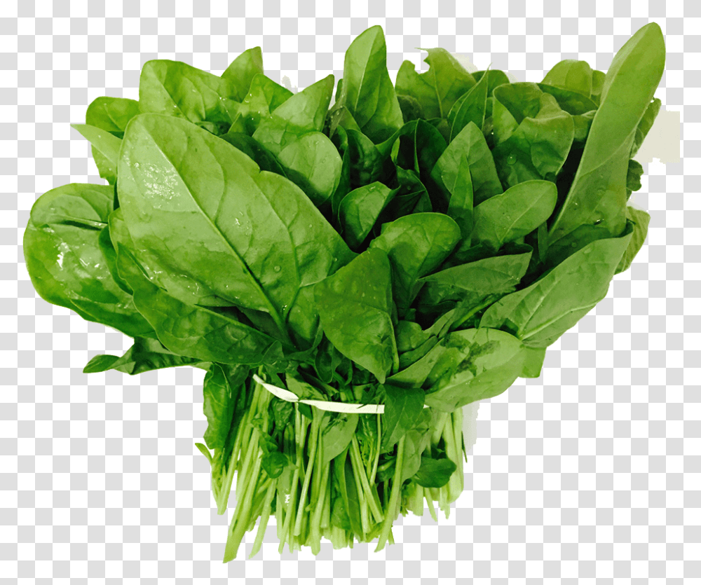 Spinach, Plant, Vegetable, Food, Lettuce Transparent Png