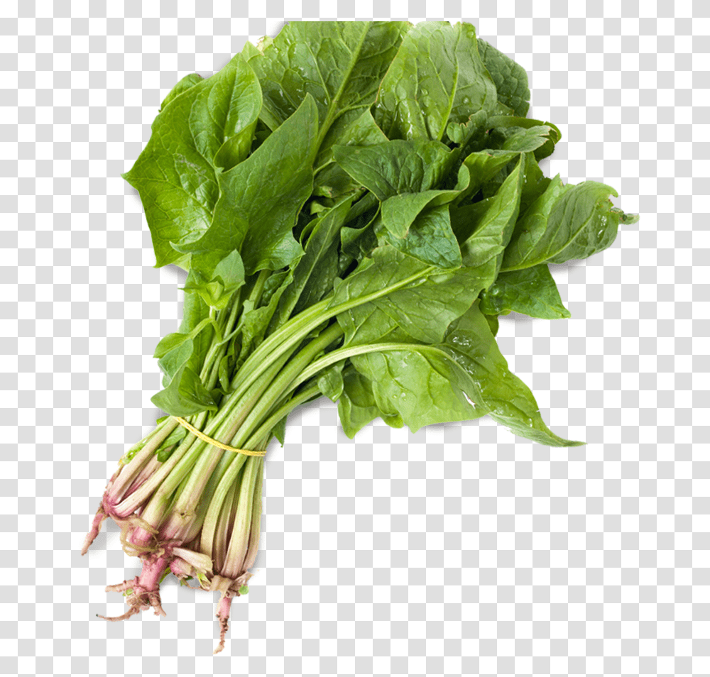 Spinach, Plant, Vegetable, Food Transparent Png