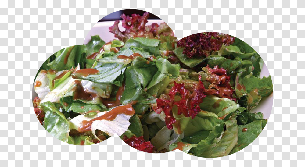 Spinach Salad, Plant, Food, Produce, Vegetable Transparent Png