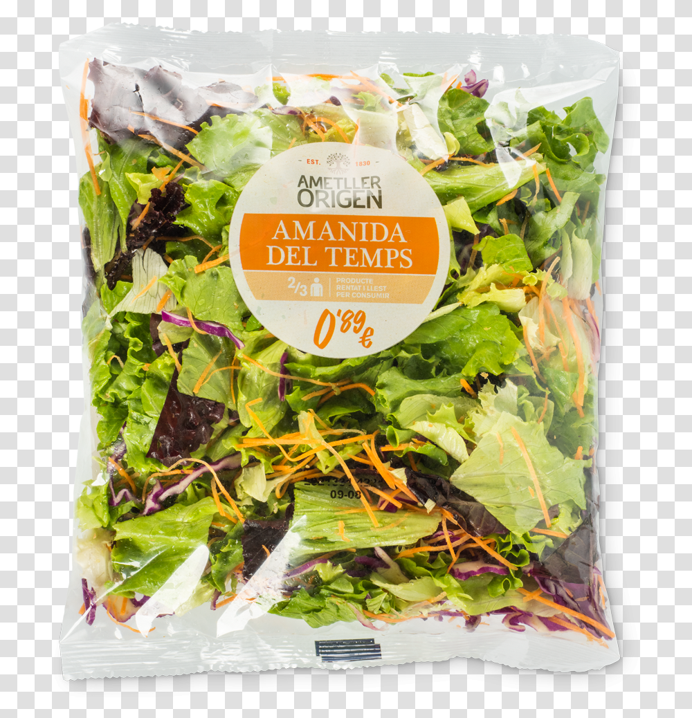 Spinach Salad, Plant, Vegetable, Food, Kale Transparent Png