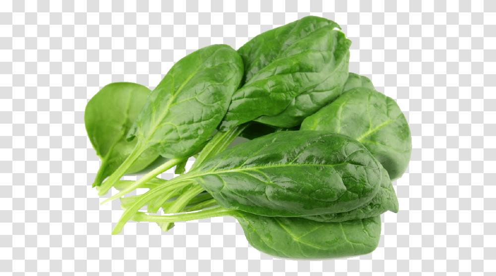 Spinach Spinach, Vegetable, Plant, Food, Bird Transparent Png