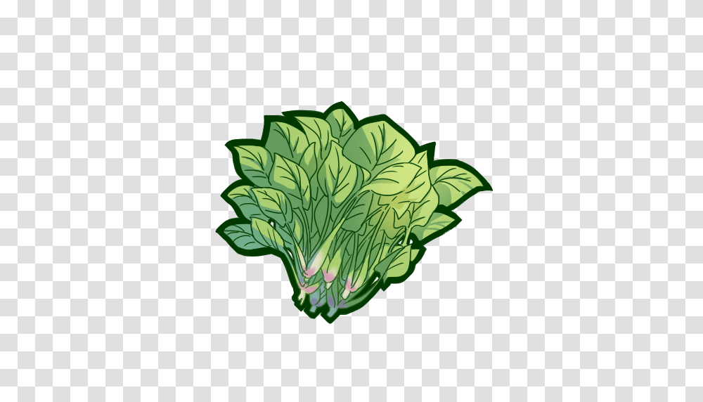 Spinach, Vegetable, Green, Plant, Food Transparent Png