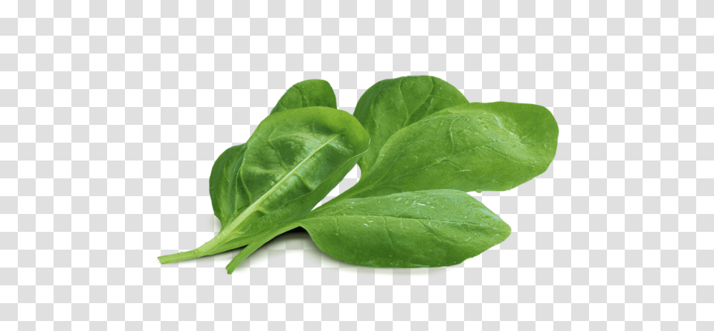 Spinach, Vegetable, Leaf, Plant, Food Transparent Png