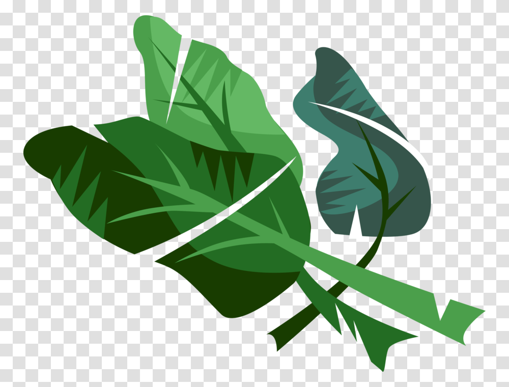 Spinach Vegetable Leaf, Plant, Green, Veins, Dynamite Transparent Png