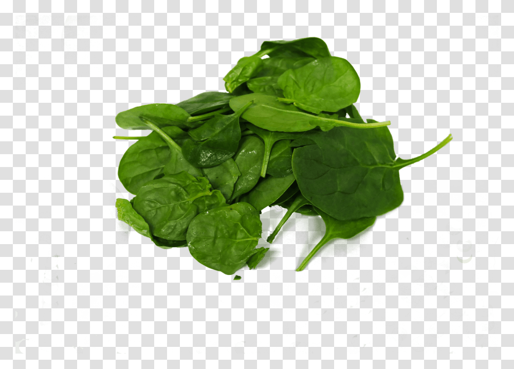 Spinach, Vegetable, Plant, Food, Droplet Transparent Png