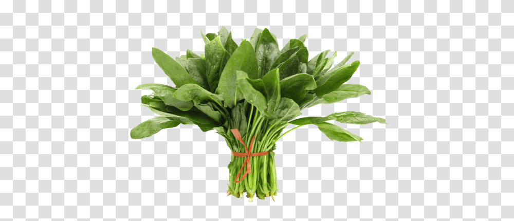 Spinach, Vegetable, Plant, Food, Leaf Transparent Png