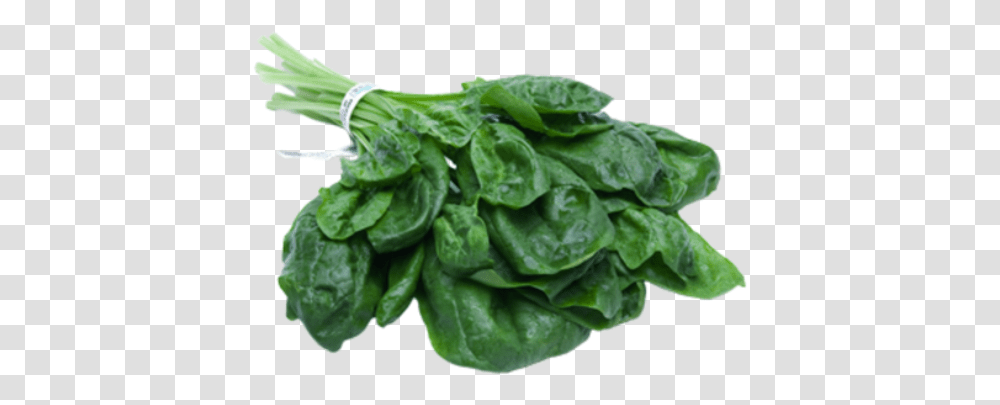 Spinach, Vegetable, Plant, Food, Leaf Transparent Png
