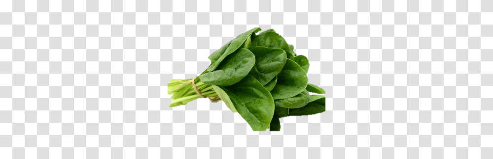 Spinach, Vegetable, Plant, Food, Leaf Transparent Png