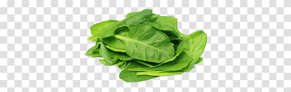 Spinach, Vegetable, Plant, Food, Leaf Transparent Png