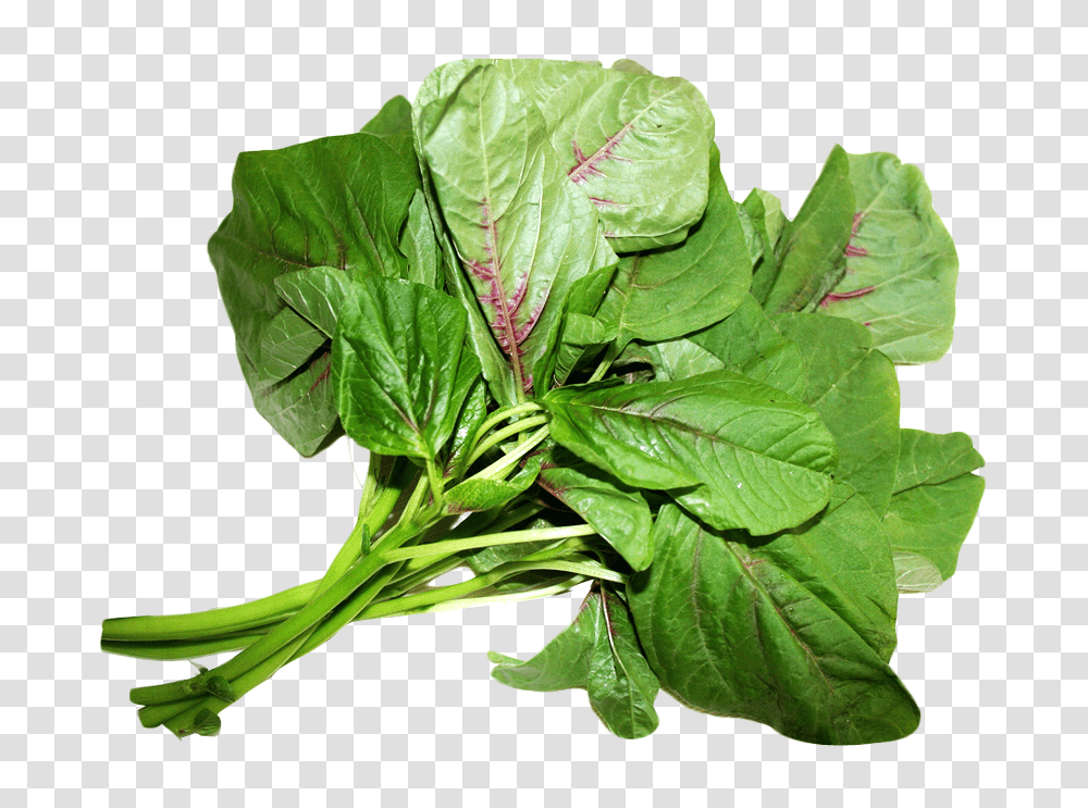 Spinach, Vegetable, Plant, Food, Leaf Transparent Png