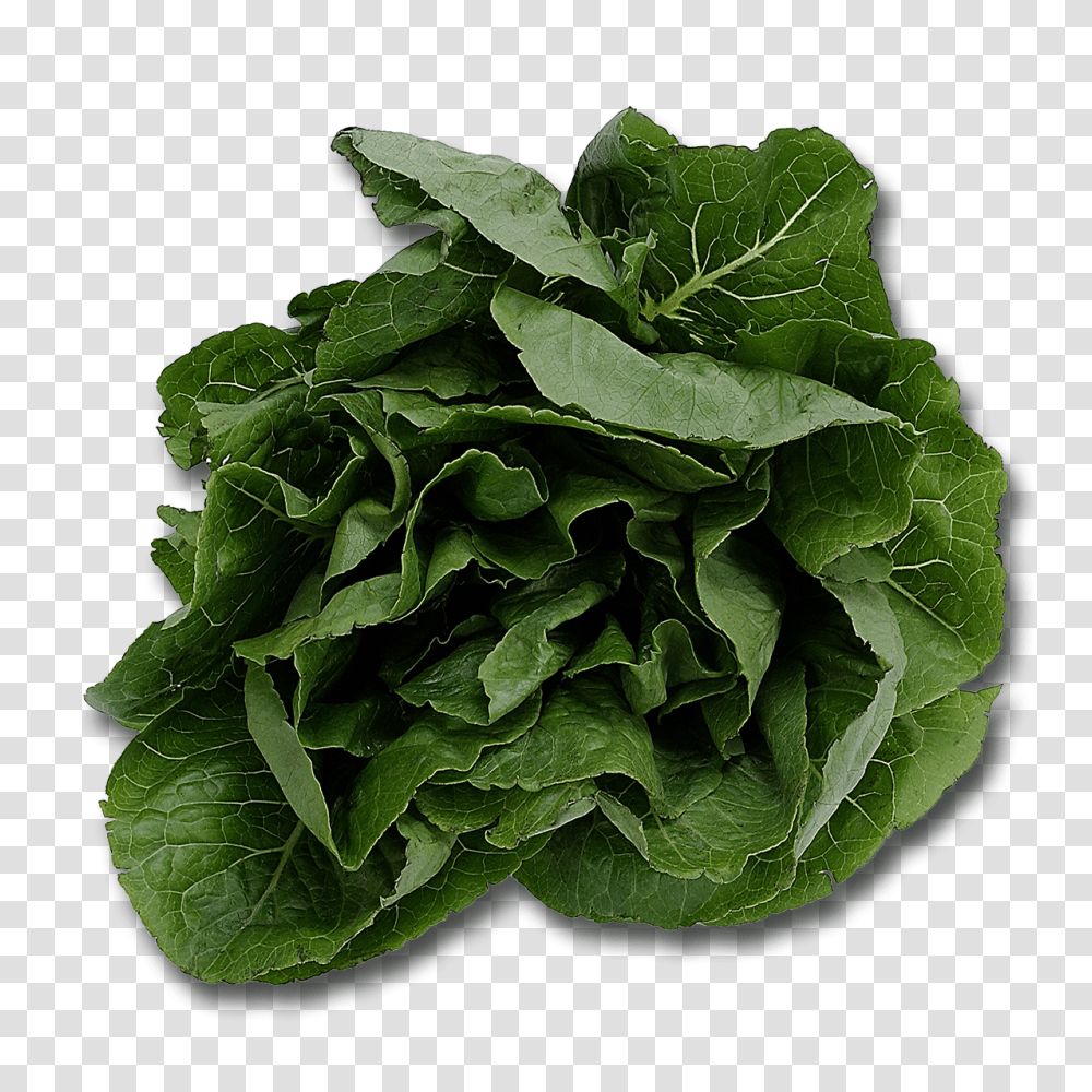 Spinach, Vegetable, Plant, Food, Lettuce Transparent Png