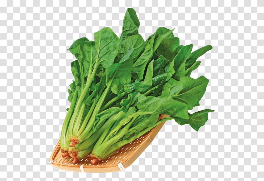 Spinach, Vegetable, Plant, Food, Pineapple Transparent Png