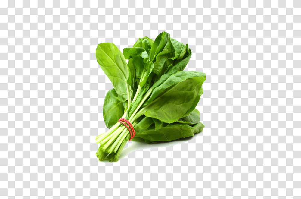 Spinach, Vegetable, Plant, Food, Pineapple Transparent Png