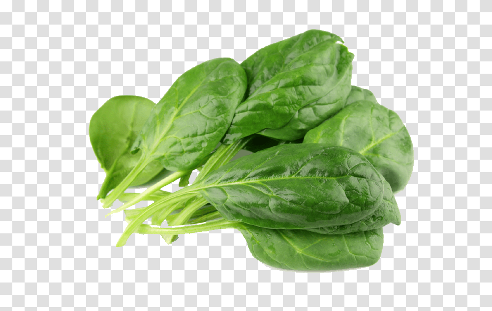 Spinach, Vegetable, Plant, Food, Pineapple Transparent Png