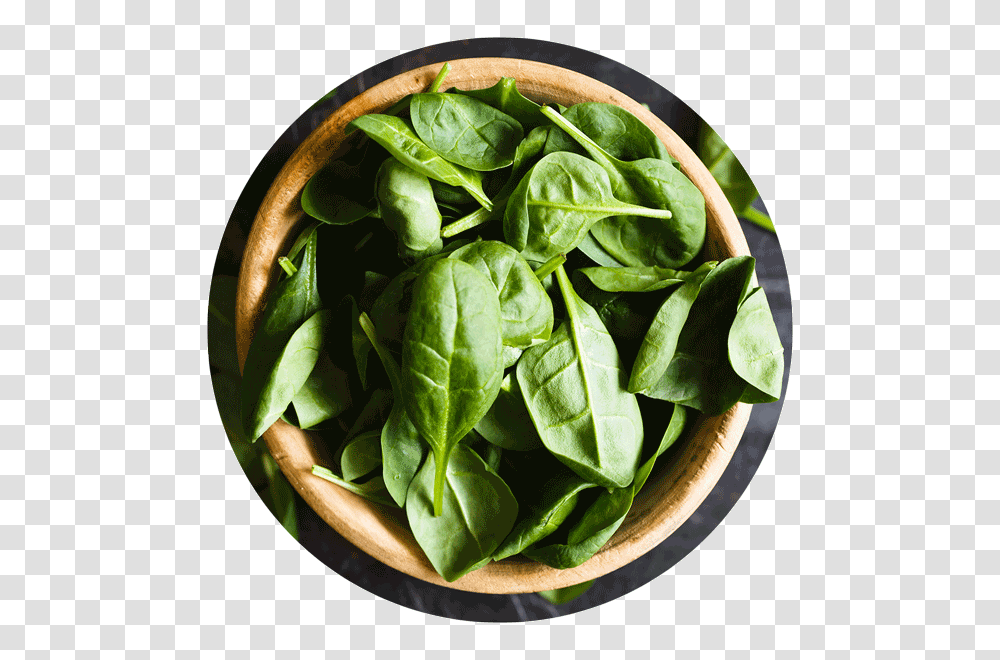 Spinach, Vegetable, Plant, Food, Pineapple Transparent Png